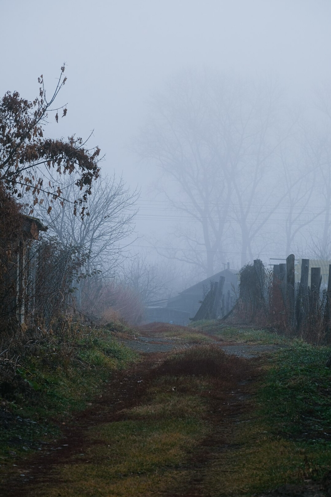 Narrow historic alley shrouded in fog